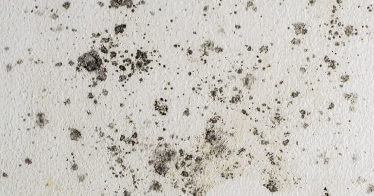 If You Are Suspicious That You Have Hidden Leaks In Your Home, It Is Best To Consult A Plumber Near Me In | Bloomington, IL