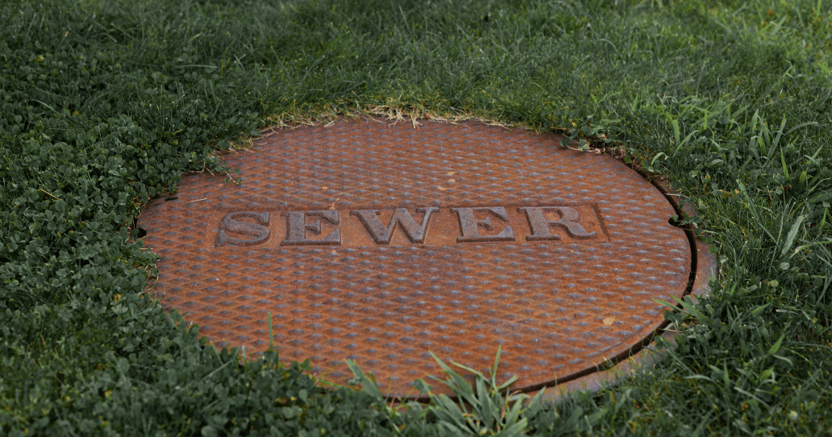 Sewer Line Repair Options: A Homeowner’s Guide