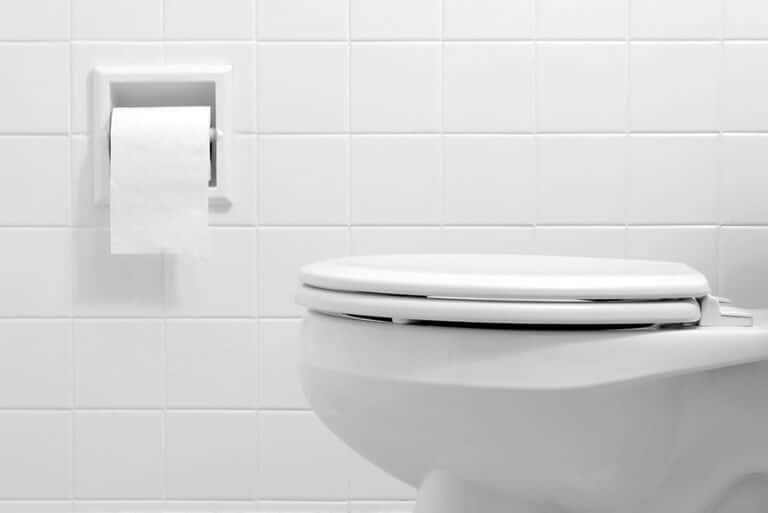 toilet Photo By TheDman at istock